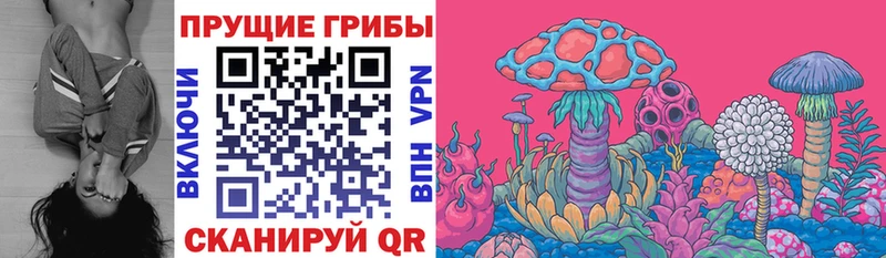 MEGA ссылка  Высоковск  Галлюциногенные грибы мухоморы 
